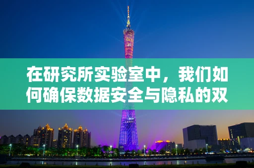 在研究所实验室中，我们如何确保数据安全与隐私的双重保障？