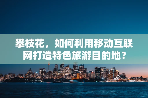 攀枝花，如何利用移动互联网打造特色旅游目的地？