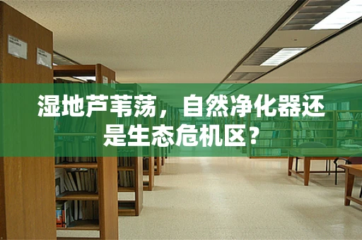 湿地芦苇荡，自然净化器还是生态危机区？