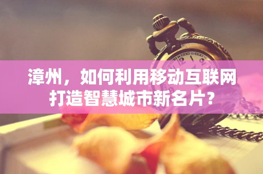 漳州，如何利用移动互联网打造智慧城市新名片？