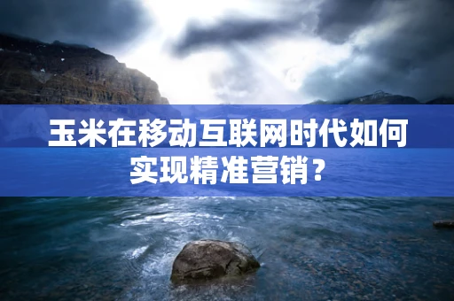 玉米在移动互联网时代如何实现精准营销？