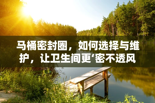 马桶密封圈，如何选择与维护，让卫生间更‘密不透风’？