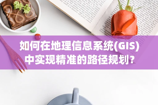 如何在地理信息系统(GIS)中实现精准的路径规划？