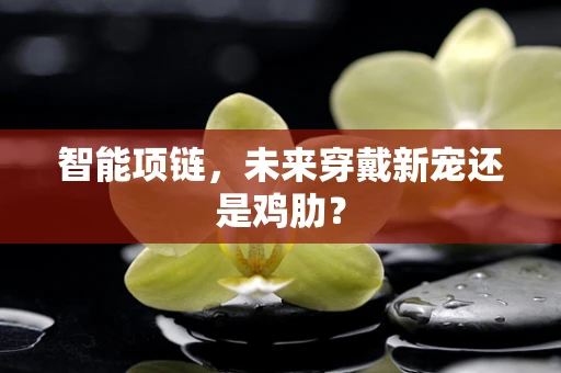 智能项链，未来穿戴新宠还是鸡肋？