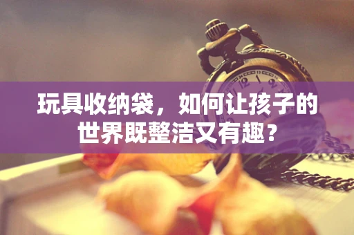玩具收纳袋，如何让孩子的世界既整洁又有趣？