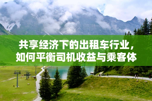 共享经济下的出租车行业，如何平衡司机收益与乘客体验？