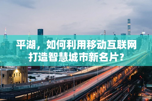 平湖，如何利用移动互联网打造智慧城市新名片？