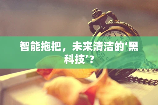 智能拖把，未来清洁的‘黑科技’？
