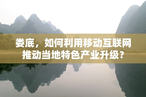 娄底，如何利用移动互联网推动当地特色产业升级？