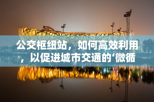 公交枢纽站，如何高效利用，以促进城市交通的‘微循环’？