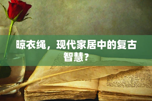 晾衣绳，现代家居中的复古智慧？