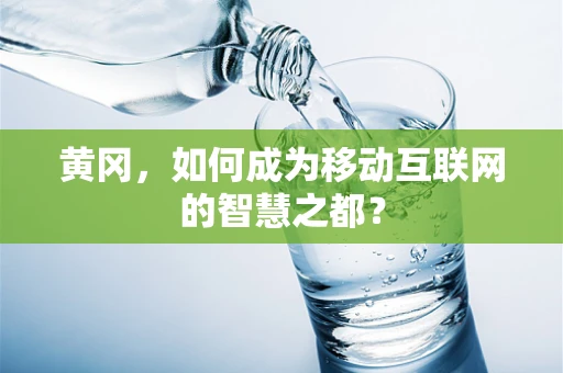 黄冈，如何成为移动互联网的智慧之都？