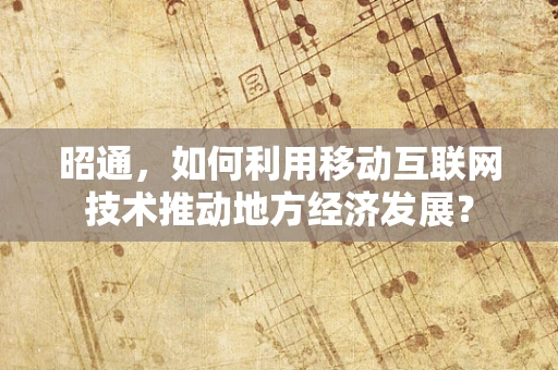 昭通，如何利用移动互联网技术推动地方经济发展？