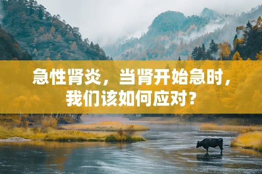 急性肾炎，当肾开始急时，我们该如何应对？
