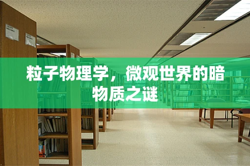 粒子物理学，微观世界的暗物质之谜