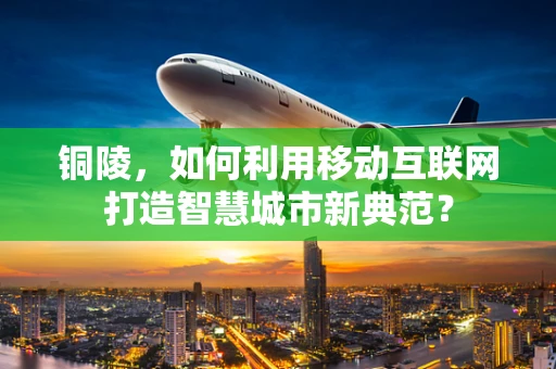 铜陵，如何利用移动互联网打造智慧城市新典范？