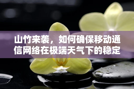 山竹来袭，如何确保移动通信网络在极端天气下的稳定运行？