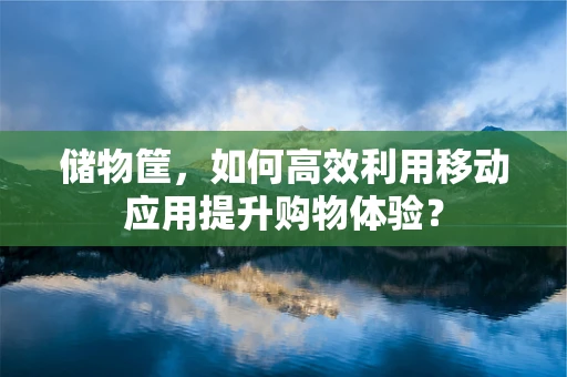 储物筐，如何高效利用移动应用提升购物体验？