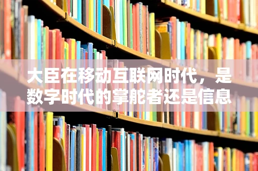 大臣在移动互联网时代，是数字时代的掌舵者还是信息洪流中的旁观者？