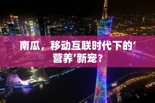 南瓜，移动互联时代下的‘营养’新宠？