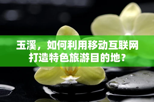 玉溪，如何利用移动互联网打造特色旅游目的地？