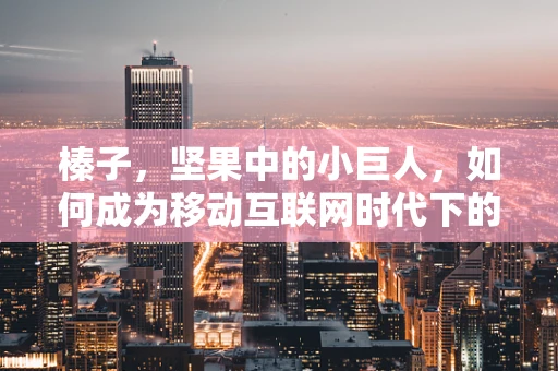 榛子，坚果中的小巨人，如何成为移动互联网时代下的健康零食新宠？