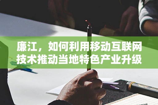 廉江，如何利用移动互联网技术推动当地特色产业升级？
