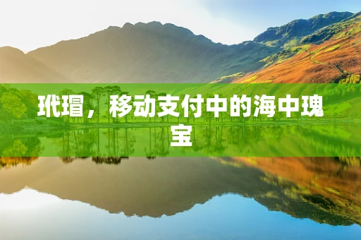 玳瑁，移动支付中的海中瑰宝