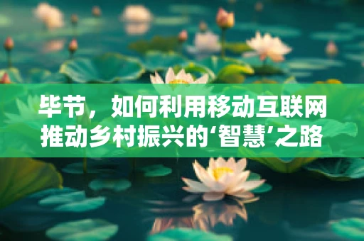 毕节，如何利用移动互联网推动乡村振兴的‘智慧’之路？
