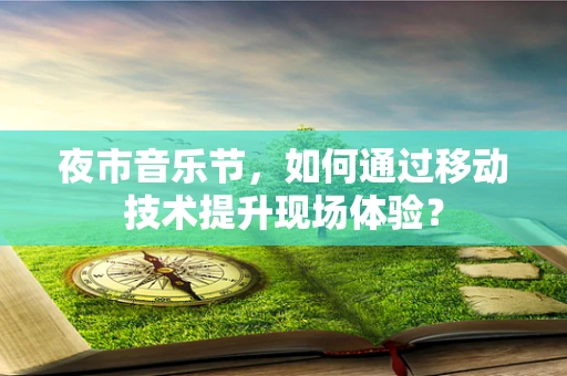 夜市音乐节，如何通过移动技术提升现场体验？