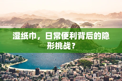 湿纸巾，日常便利背后的隐形挑战？