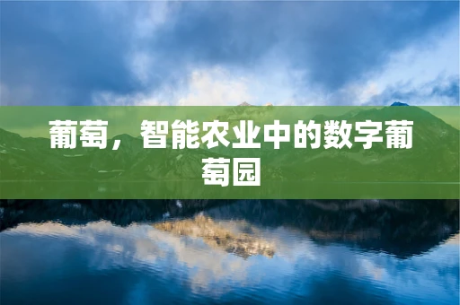 葡萄，智能农业中的数字葡萄园