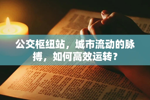 公交枢纽站，城市流动的脉搏，如何高效运转？