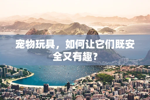 宠物玩具，如何让它们既安全又有趣？