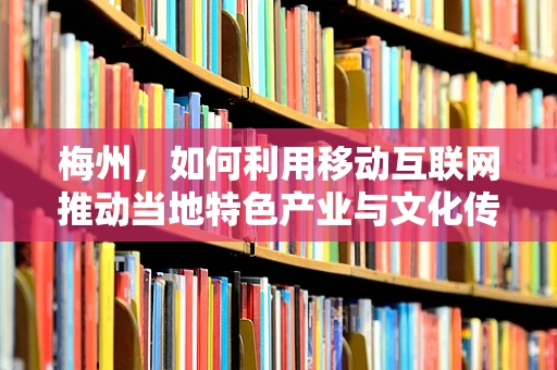 梅州，如何利用移动互联网推动当地特色产业与文化传承？