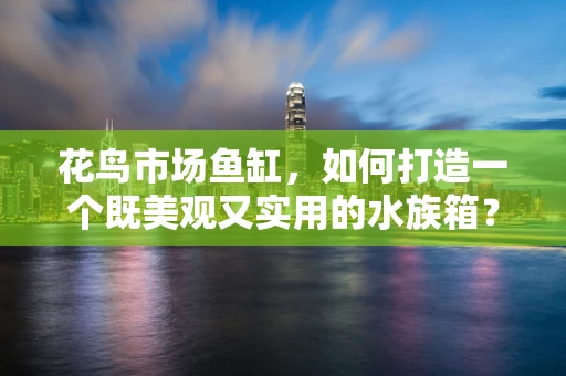花鸟市场鱼缸，如何打造一个既美观又实用的水族箱？