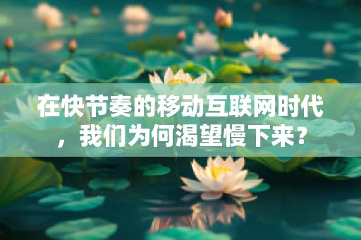 在快节奏的移动互联网时代，我们为何渴望慢下来？