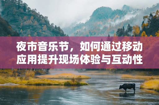 夜市音乐节，如何通过移动应用提升现场体验与互动性？