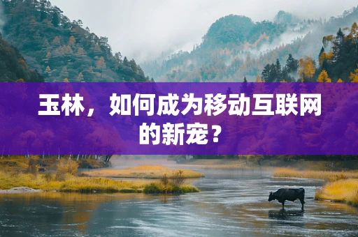 玉林，如何成为移动互联网的新宠？
