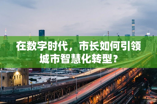 在数字时代，市长如何引领城市智慧化转型？