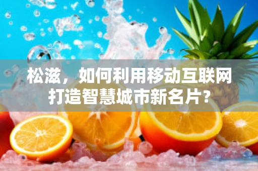 松滋，如何利用移动互联网打造智慧城市新名片？
