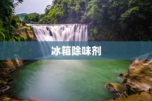冰箱除味剂