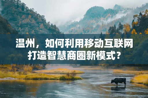 温州，如何利用移动互联网打造智慧商圈新模式？