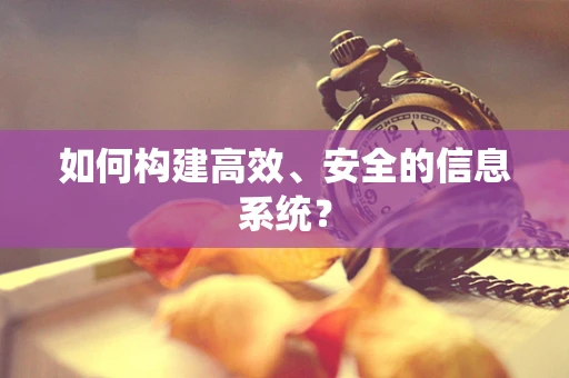 如何构建高效、安全的信息系统？
