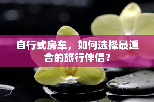 自行式房车，如何选择最适合的旅行伴侣？
