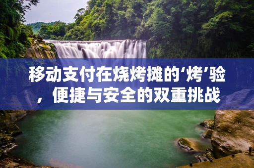 移动支付在烧烤摊的‘烤’验，便捷与安全的双重挑战