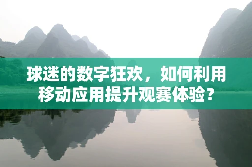球迷的数字狂欢，如何利用移动应用提升观赛体验？