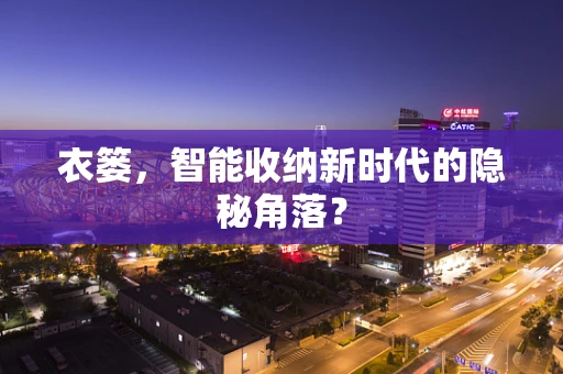 衣篓，智能收纳新时代的隐秘角落？