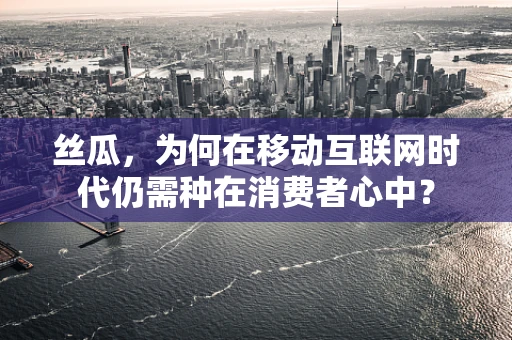丝瓜，为何在移动互联网时代仍需种在消费者心中？