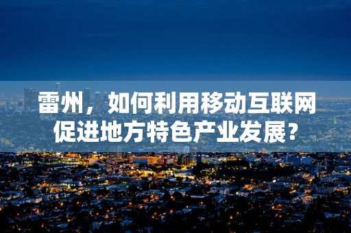 雷州，如何利用移动互联网促进地方特色产业发展？